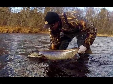 nova scotia fishing license|fisheries and oceans online licensing.
